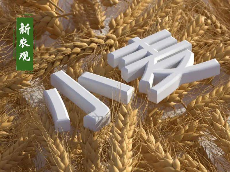 原創(chuàng)托市小麥拍賣清單出來(lái)了！小麥行情要反轉(zhuǎn)？