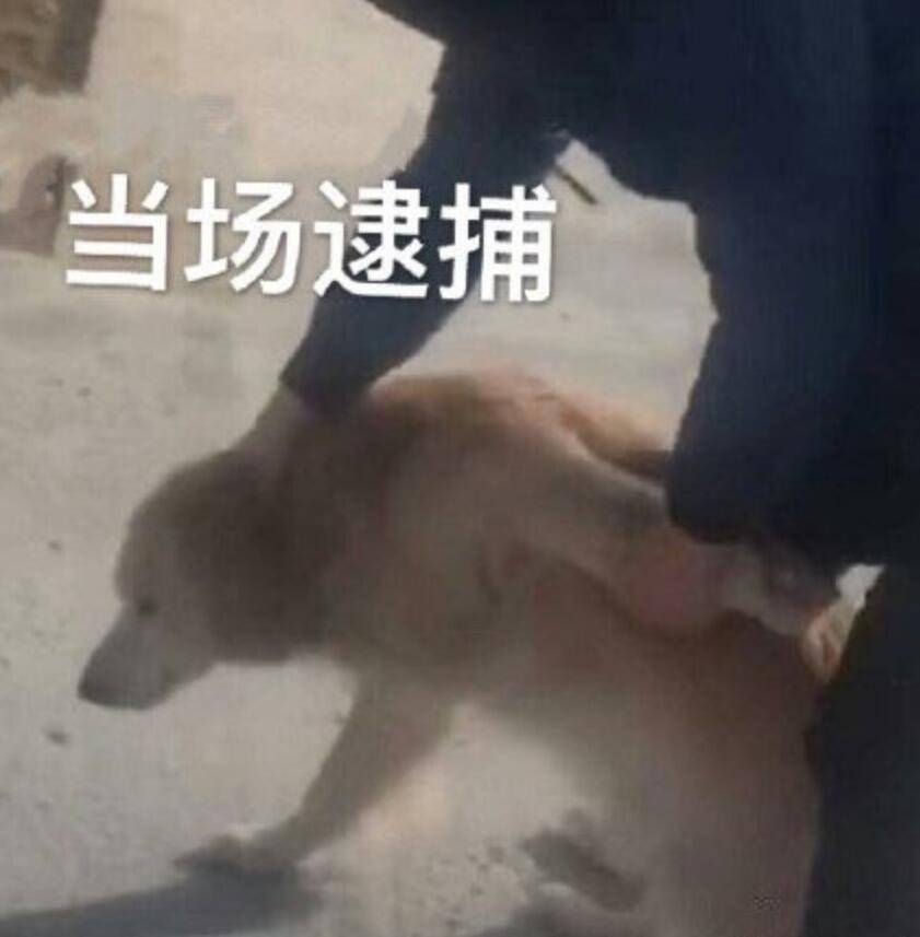 外掛怕了！騰訊《三角洲行動(dòng)》反外掛動(dòng)真格，跨國抓捕幕后大佬？