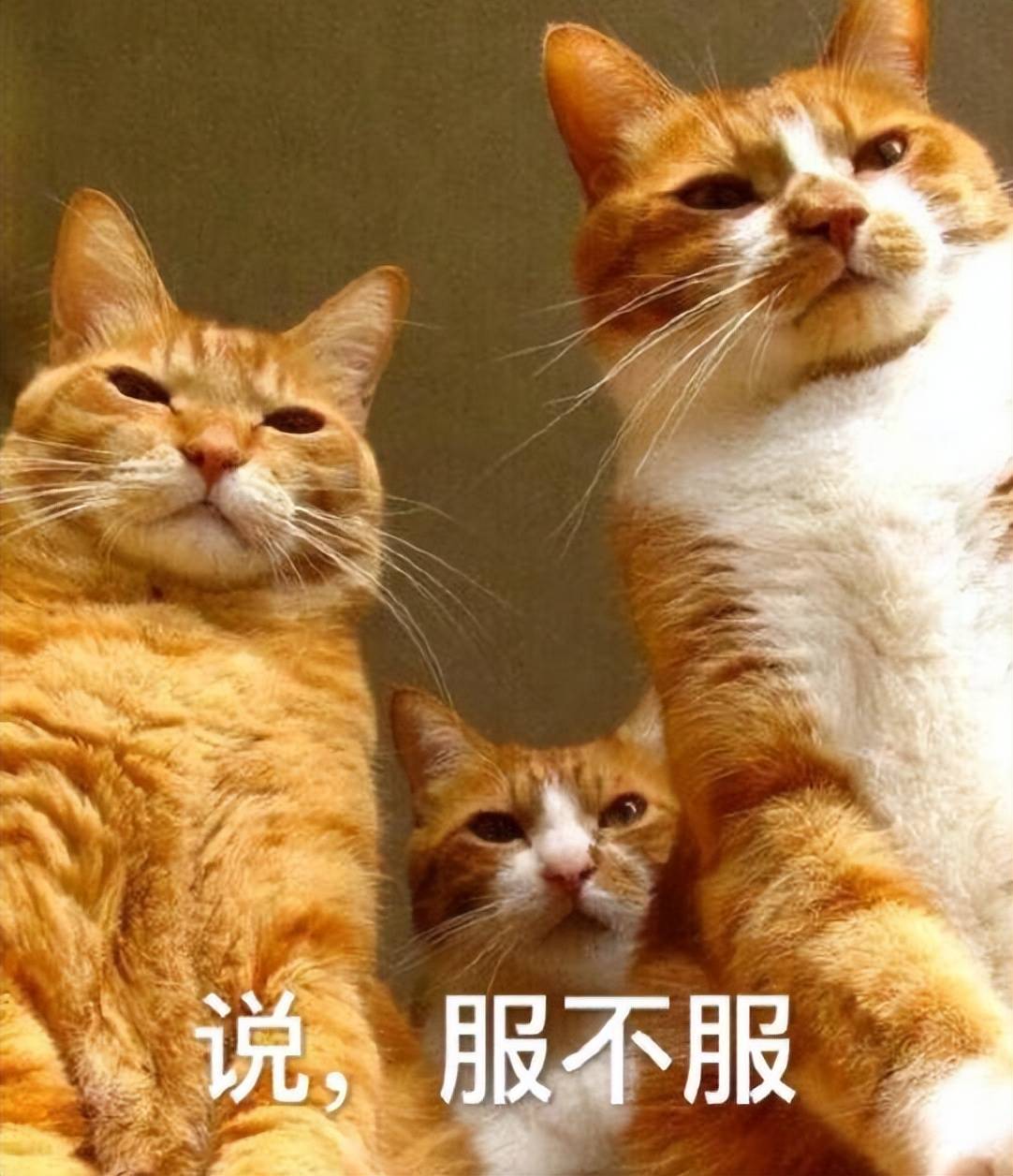 外掛怕了！騰訊《三角洲行動(dòng)》反外掛動(dòng)真格，跨國抓捕幕后大佬？